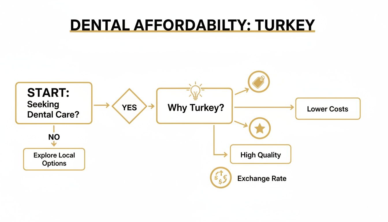 Flowchart illustrating dental care decision process, highlighting Turkey's affordability, high quality, and favorable exchange rate.