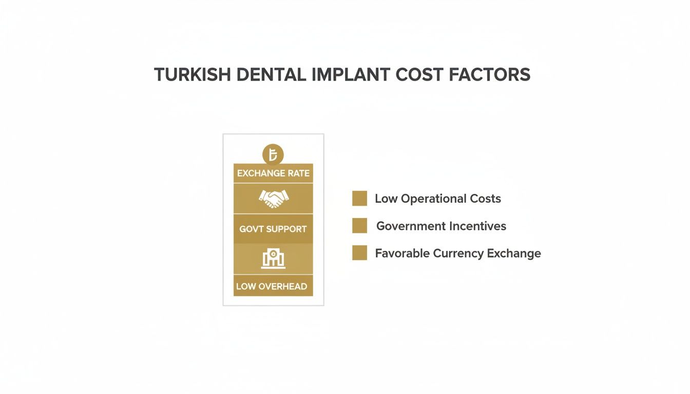 Infographic illustrating factors for Turkish dental implant costs: favorable exchange rates, government incentives, and low operational costs.