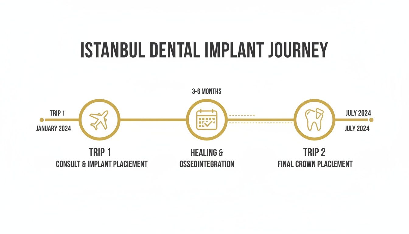 A timeline illustrating the Istanbul dental implant journey, spanning from consultation to final crown placement.