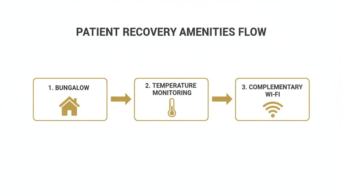A flowchart detailing patient recovery amenities: bungalow, temperature monitoring, and complimentary Wi-Fi.