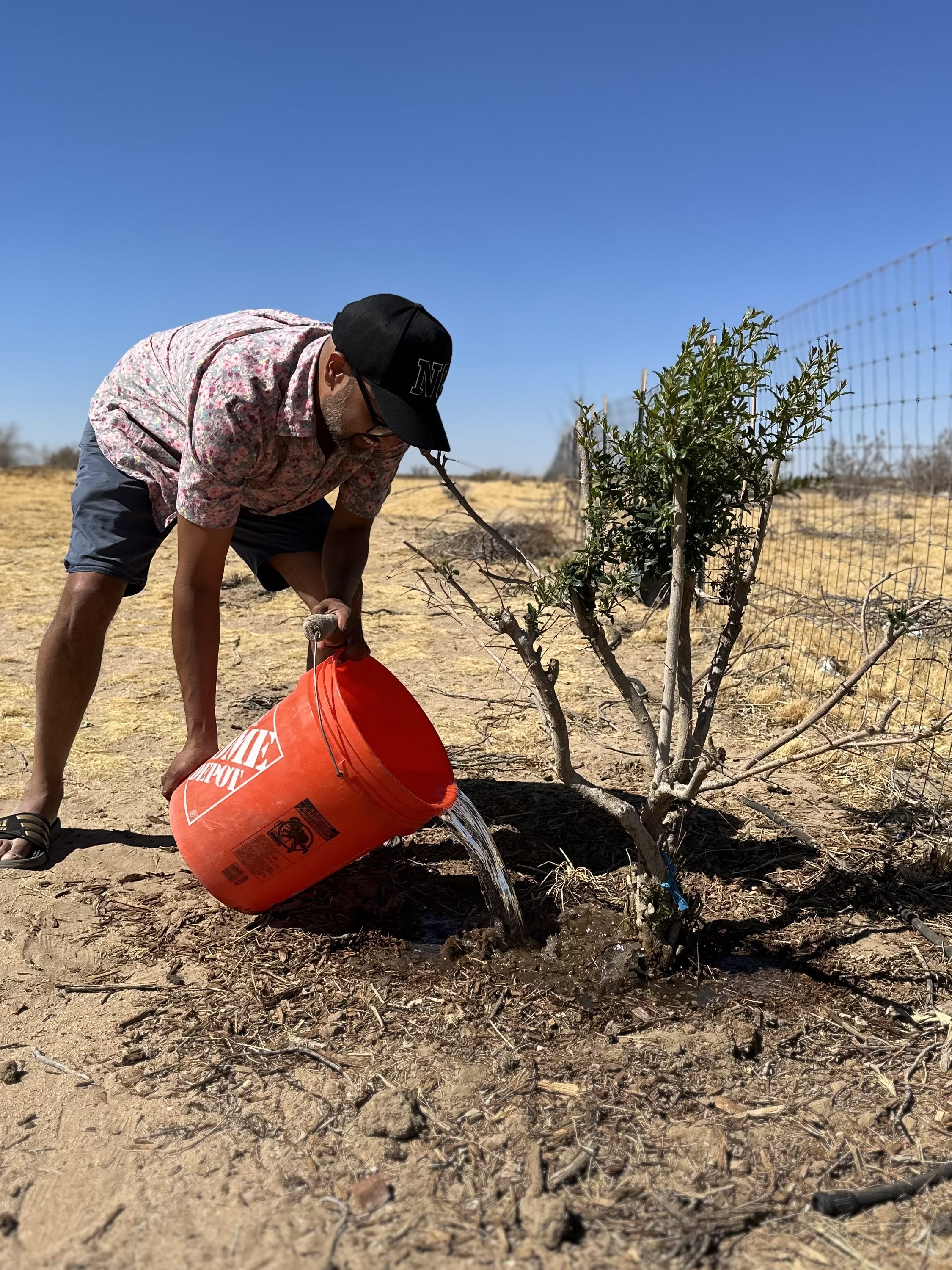 Robin Sukhadia at the Land.