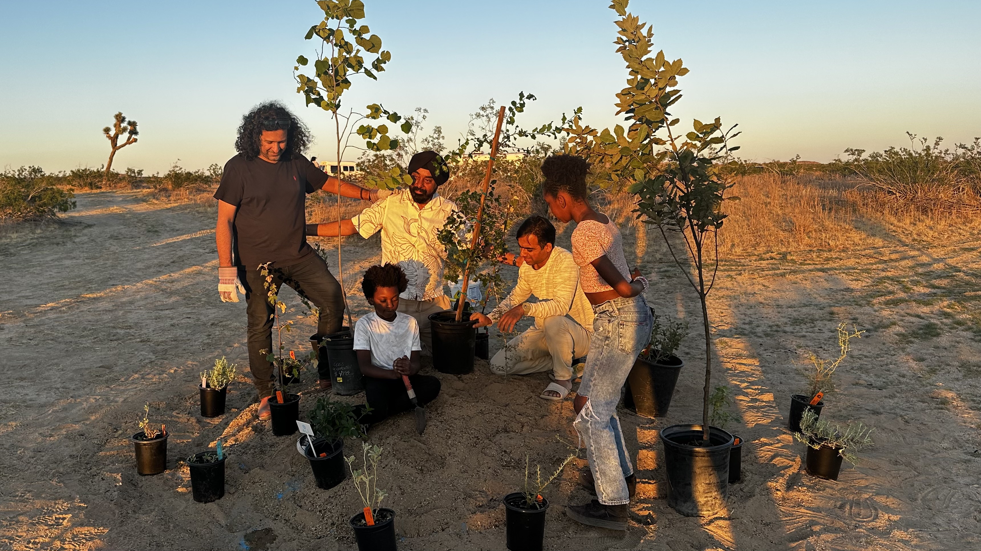EcoSikh, Afforestt, & local For Every Star, A Tree volunteer Earthworkers plant at the Tiny Forest in the Desert.