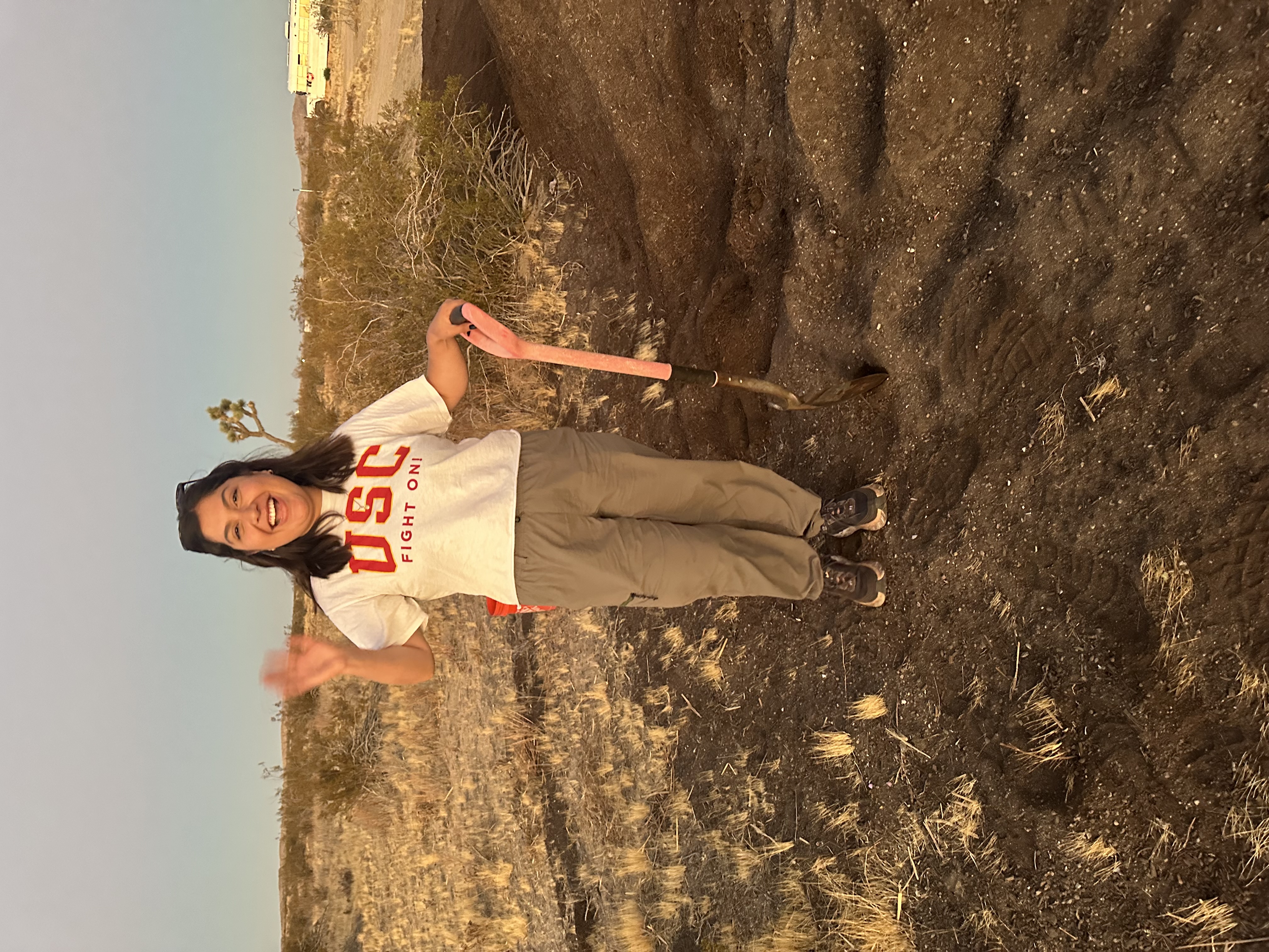 Volunteer Earthworker helping spread mulch at For Every Star, A Tree: Tiny Forest in the Desert