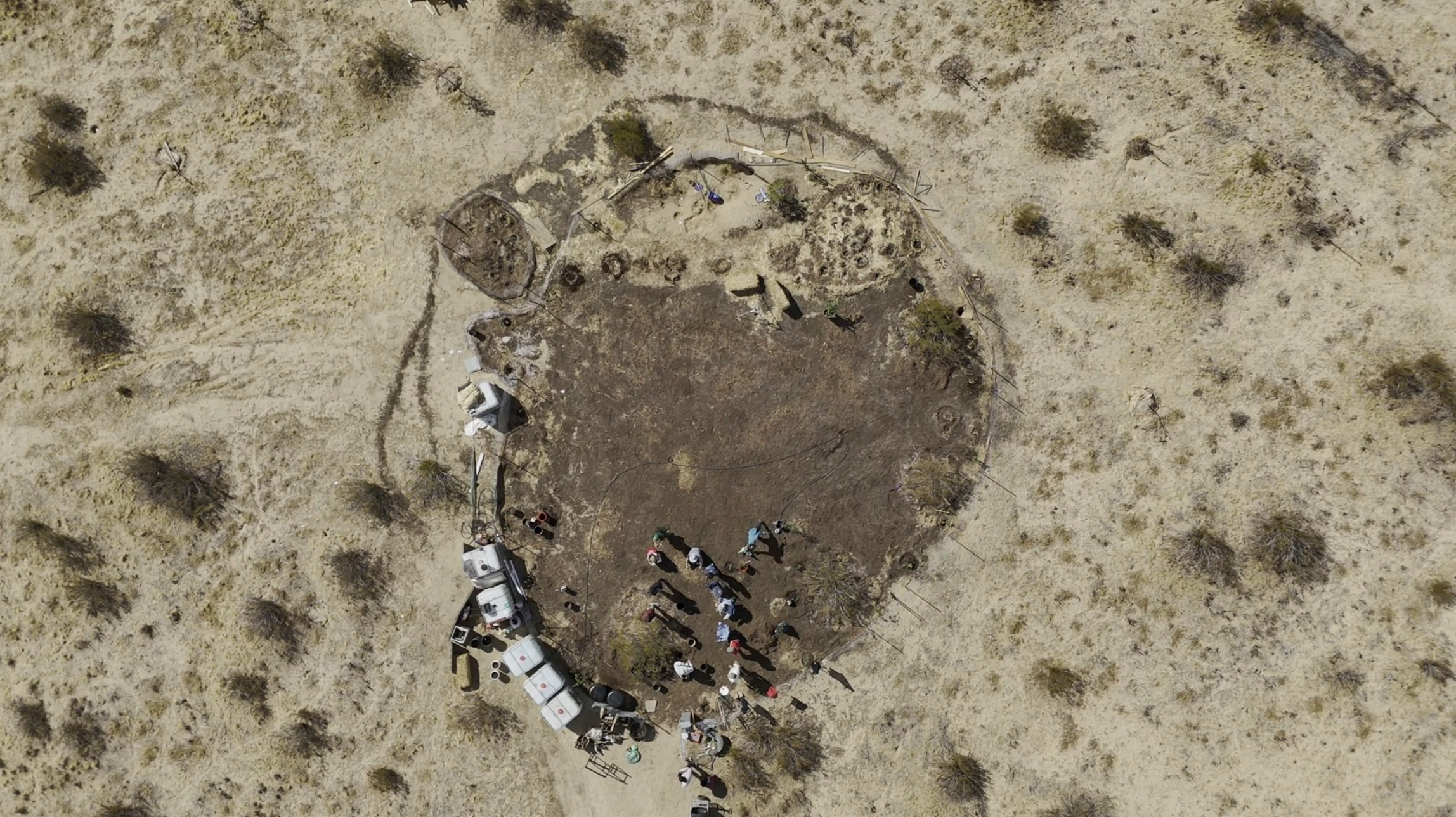 Meet the Starry Night Skoolie: a school bus in the desert that's planting native trees.