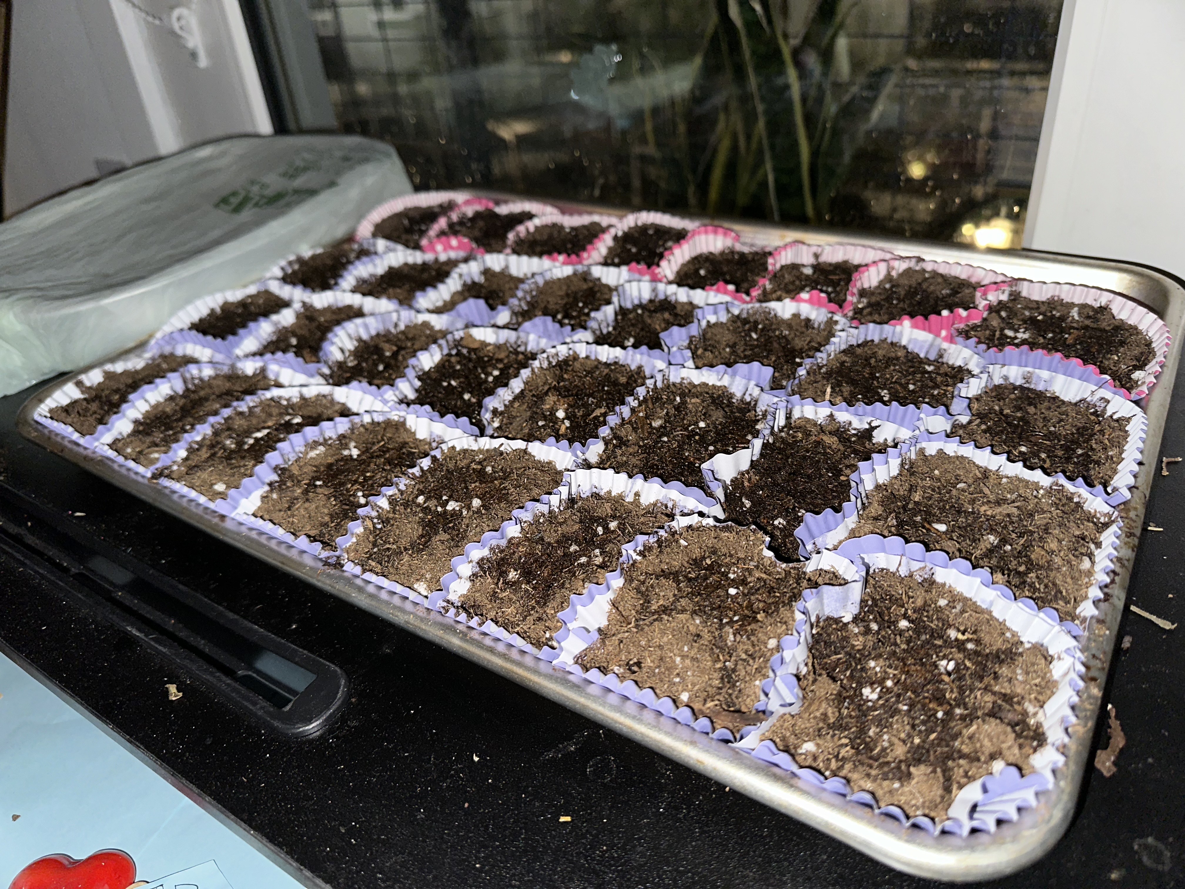 For Every Star A Tree - Cupcake Wrappers for DIY seed trays