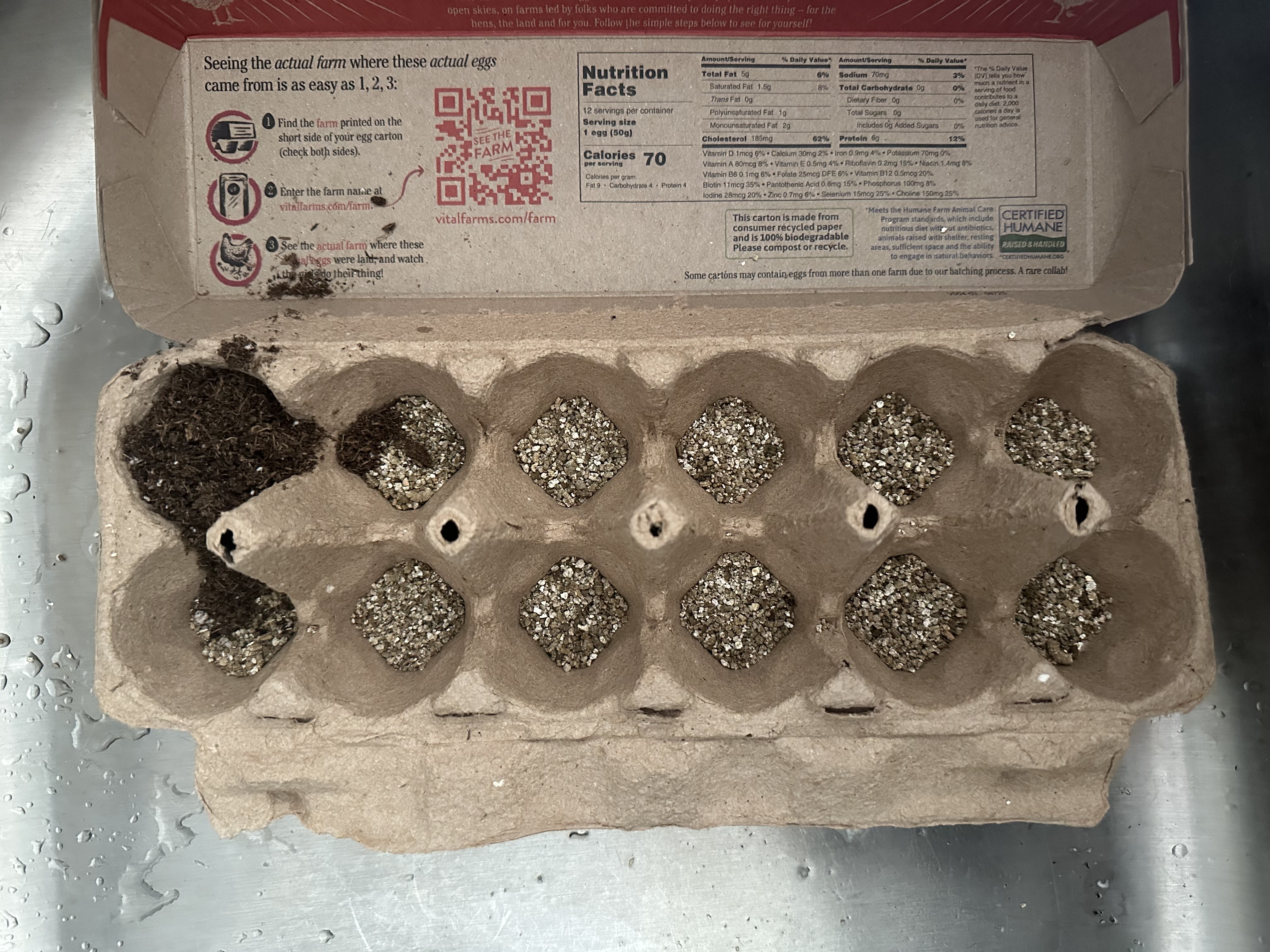 For Every Star A Tree - Egg Carton for DIY seed trays