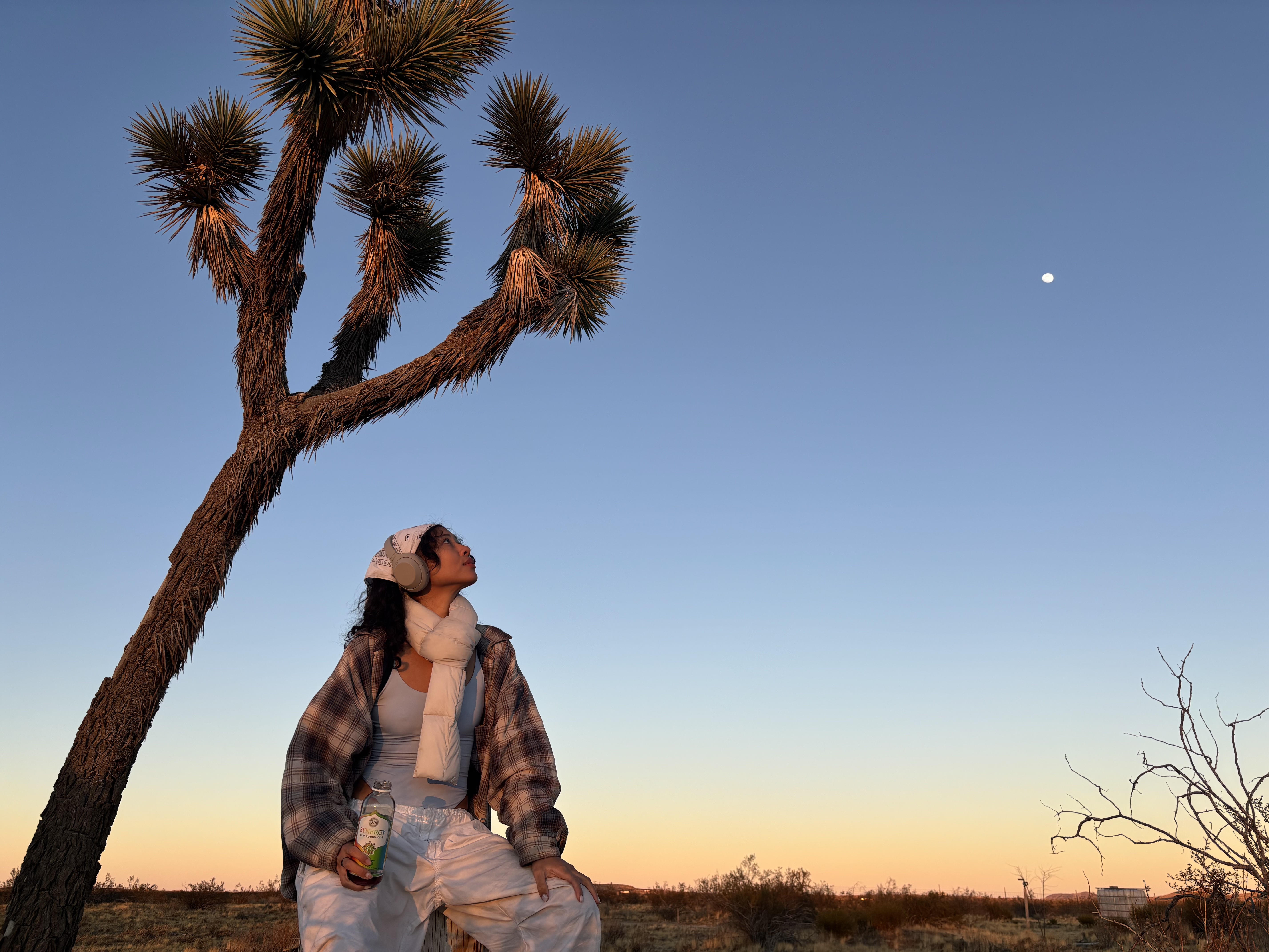 Salanya by the joshua tree at For Every Star, A Tree.