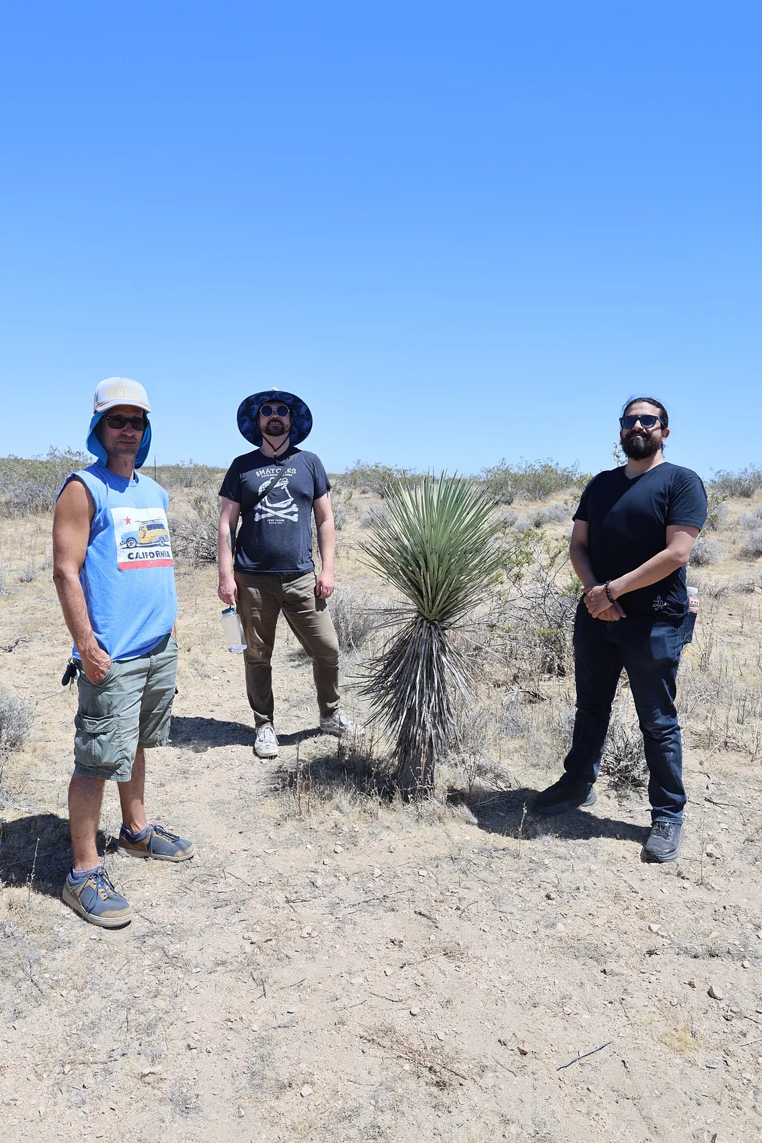 Desert Transformation #1