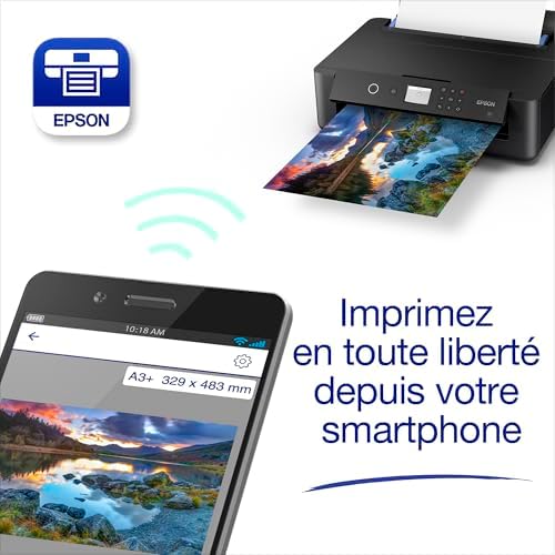 Vue 6 de Epson Expression Photo Xp