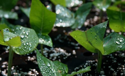 Vue 6 de Navigator Universal Papier Premium