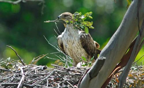 Vue 7 de Navigator Universal Papier Premium