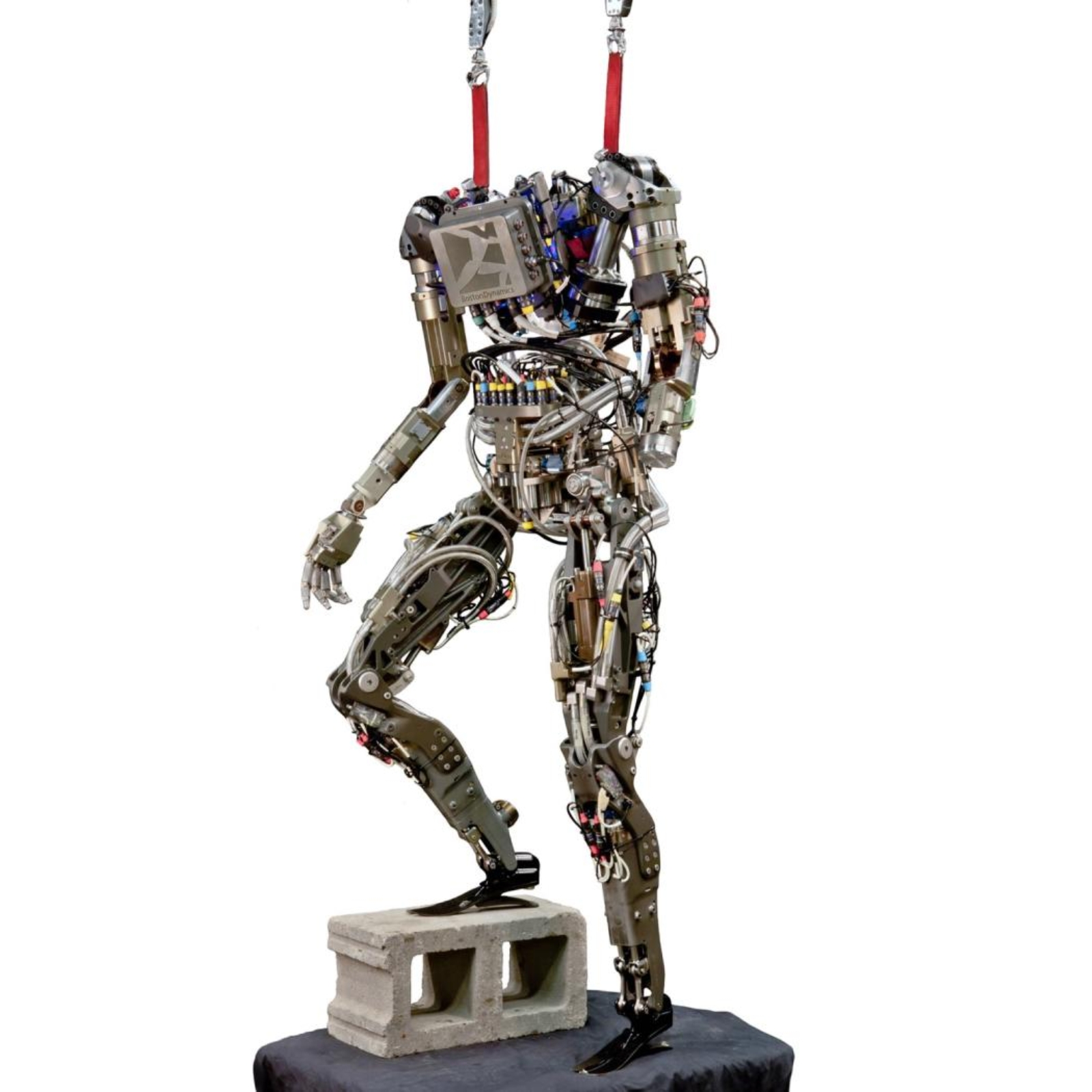 PETMAN