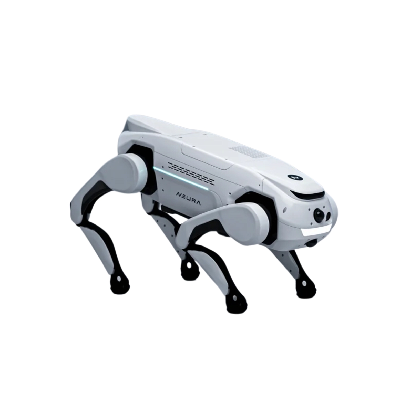 NEURA Quadruped
