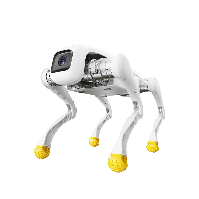 D1 Edu