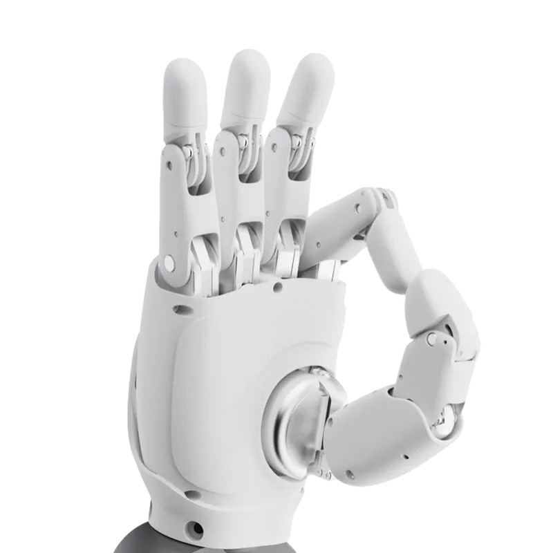 OmniHand O10