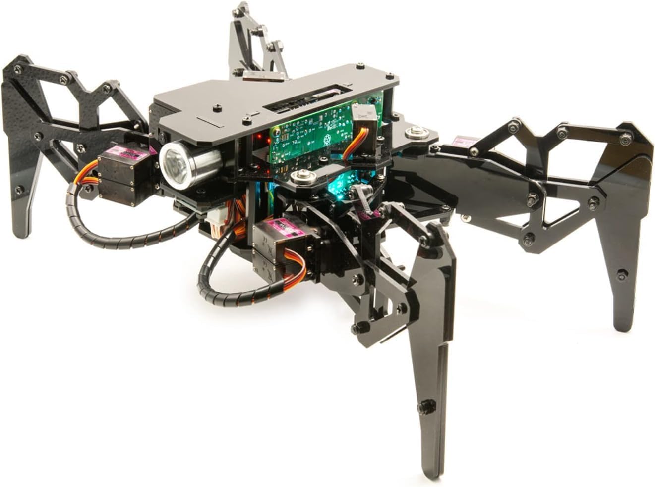 Spider Robot V3