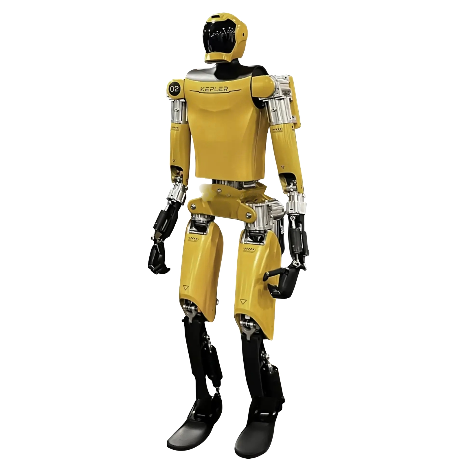 K2