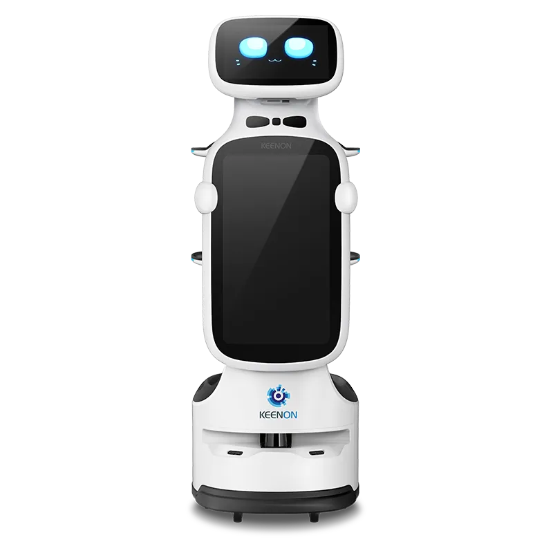 DinerBot T11