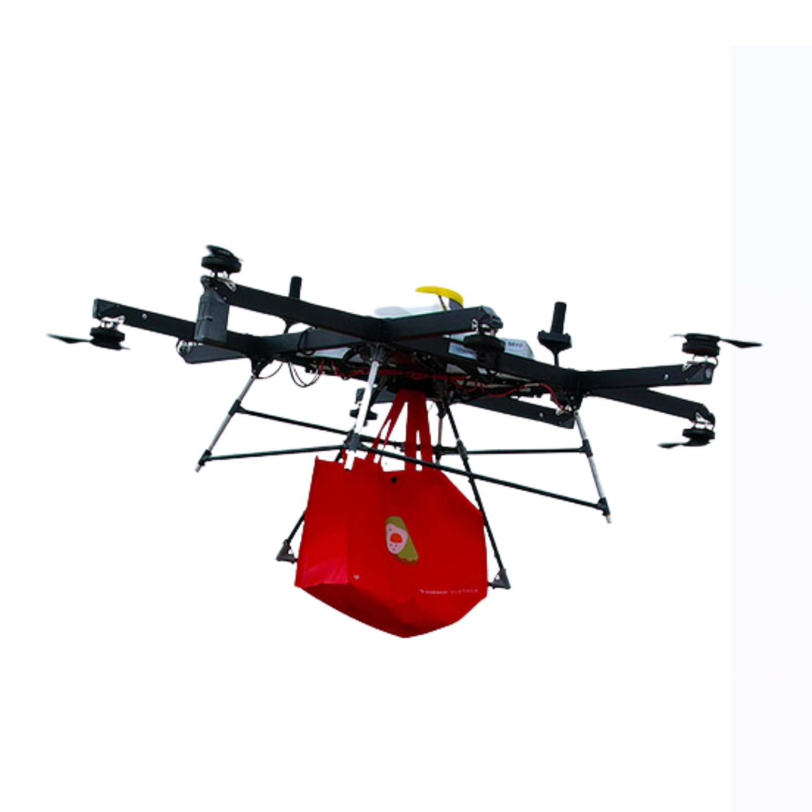 Flytrex Drone