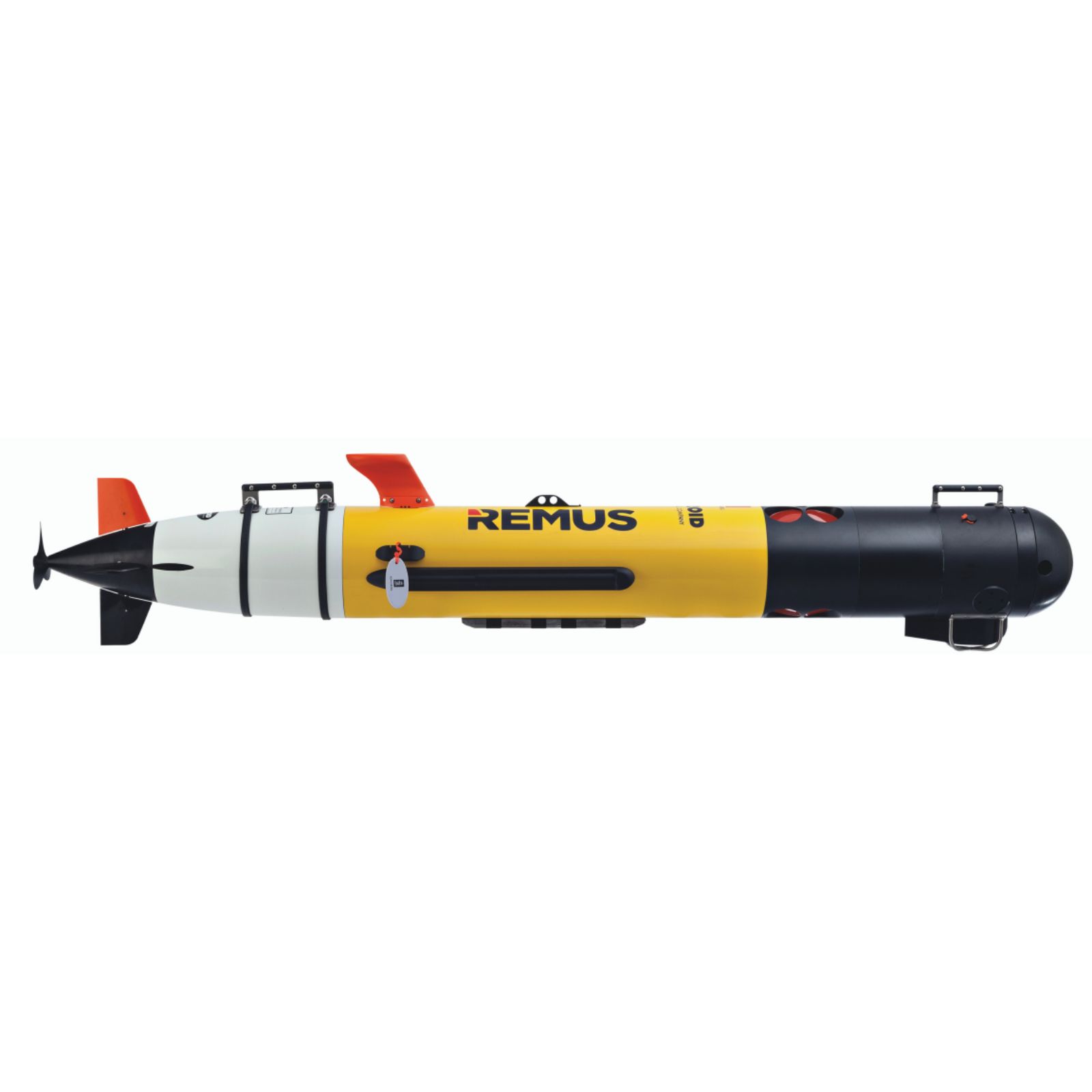 REMUS 100