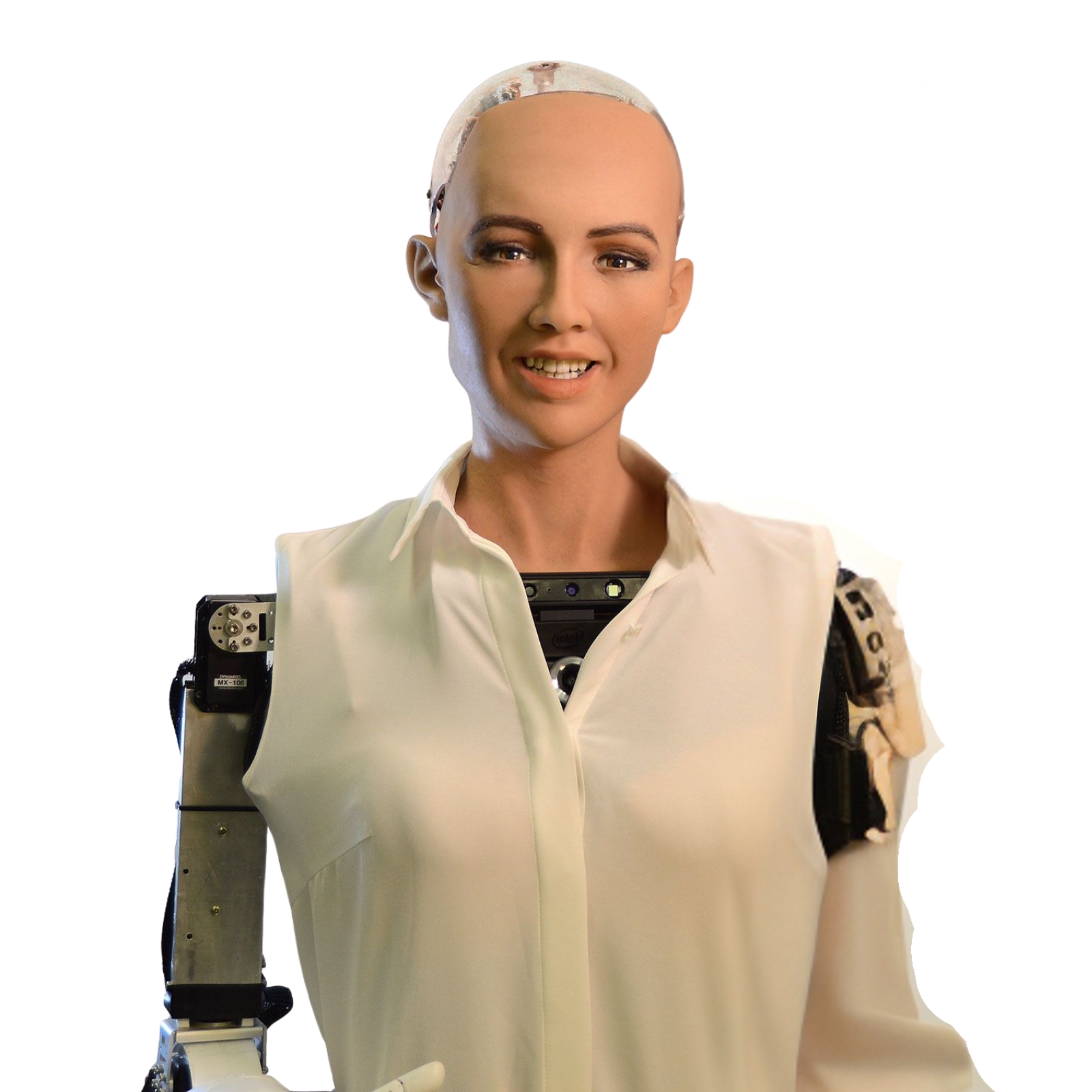 Sophia
