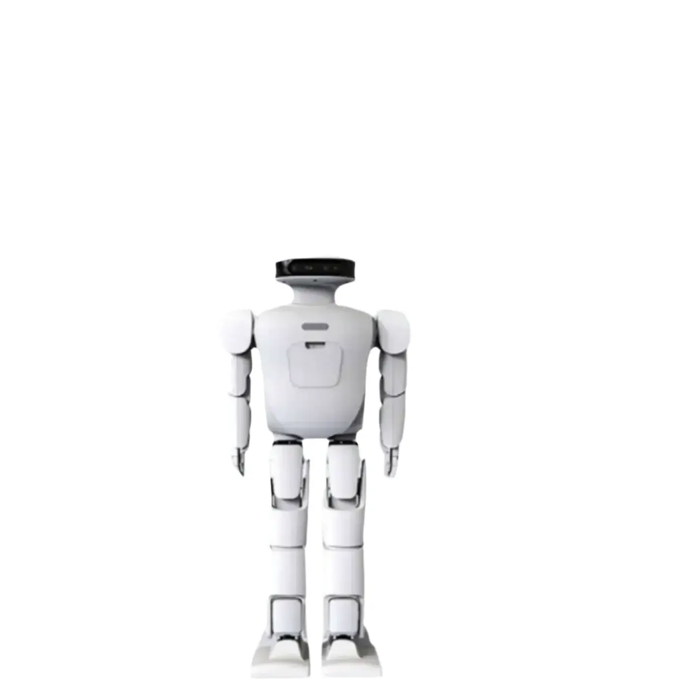 ROBAN robot