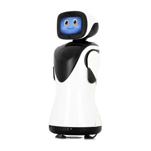 PadBot P3 robot