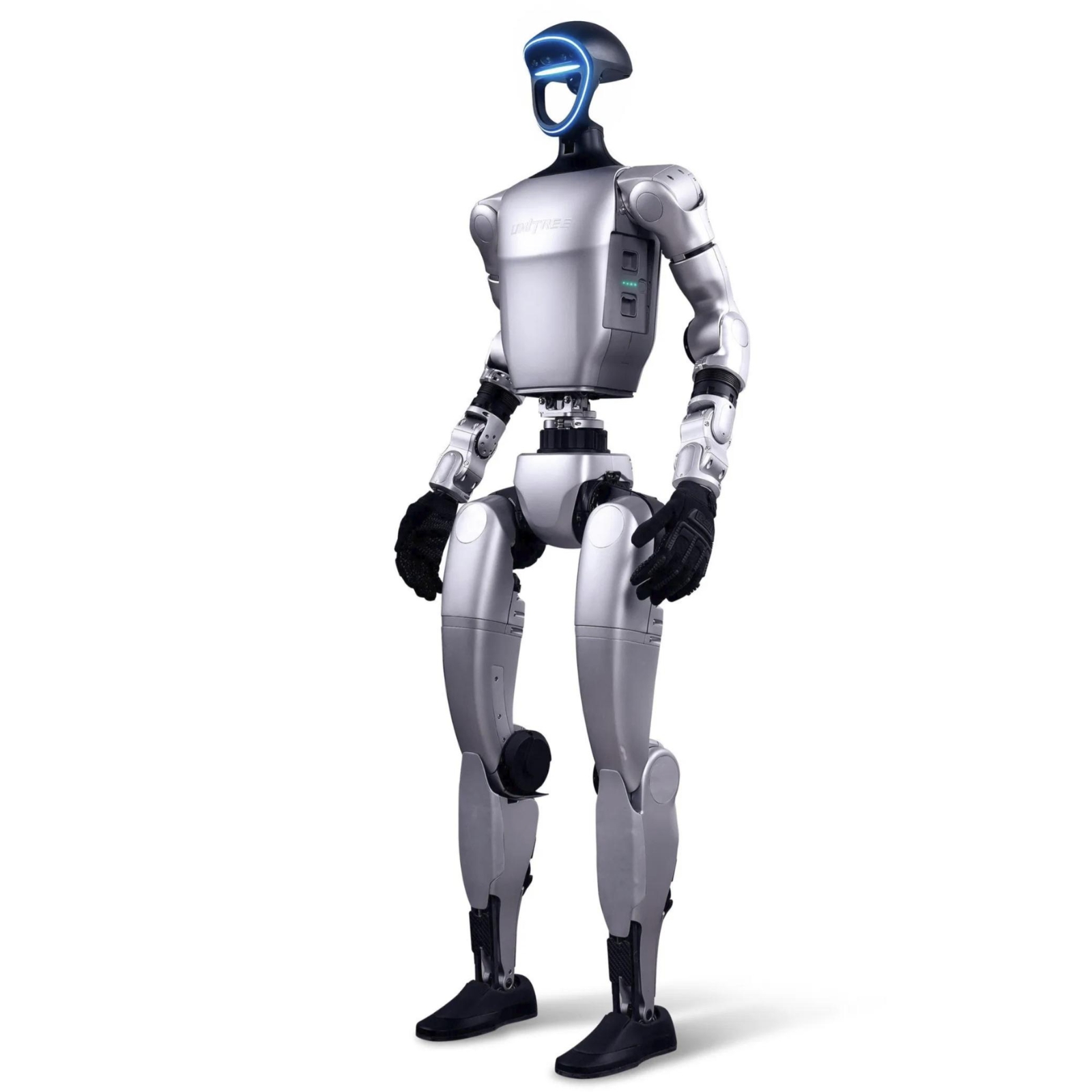 Avatar robot