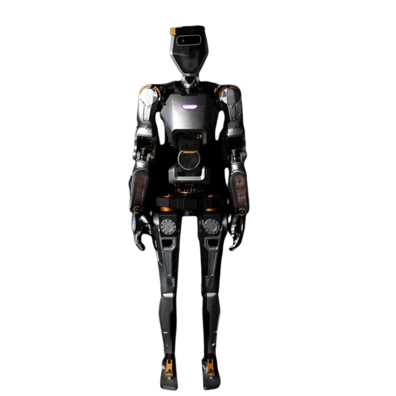 Phoenix (Gen 6) robot