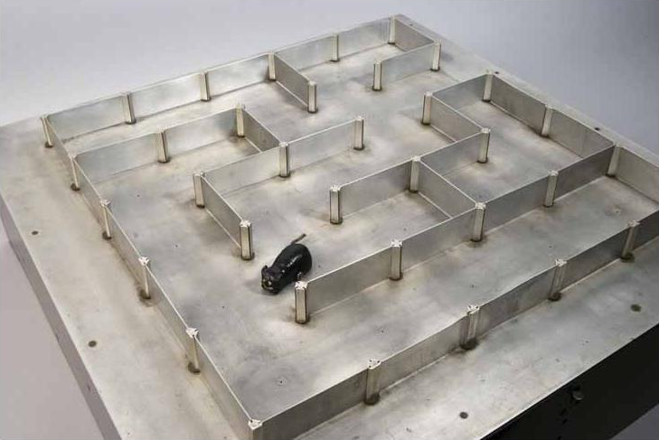 Theseus robot