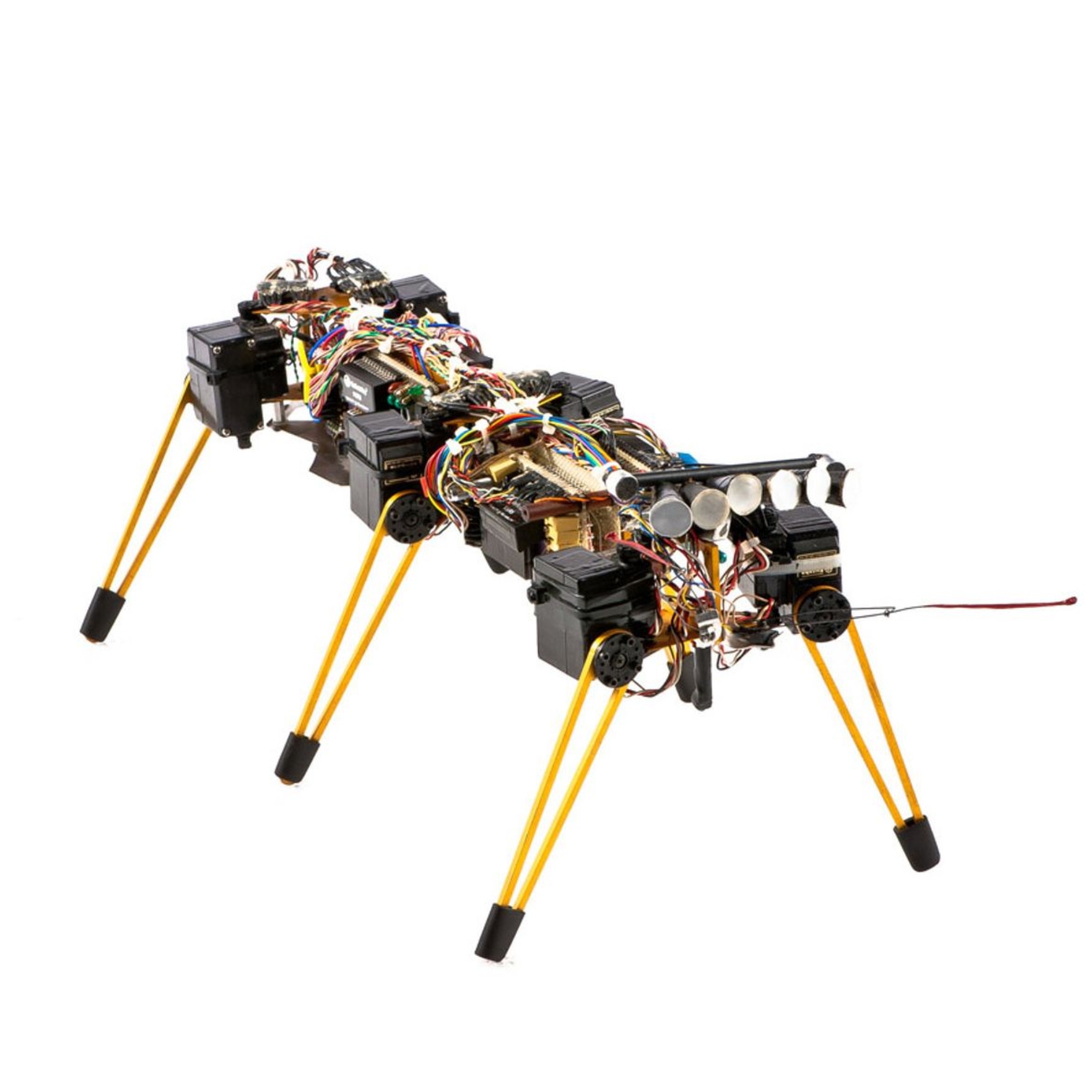 Genghis robot
