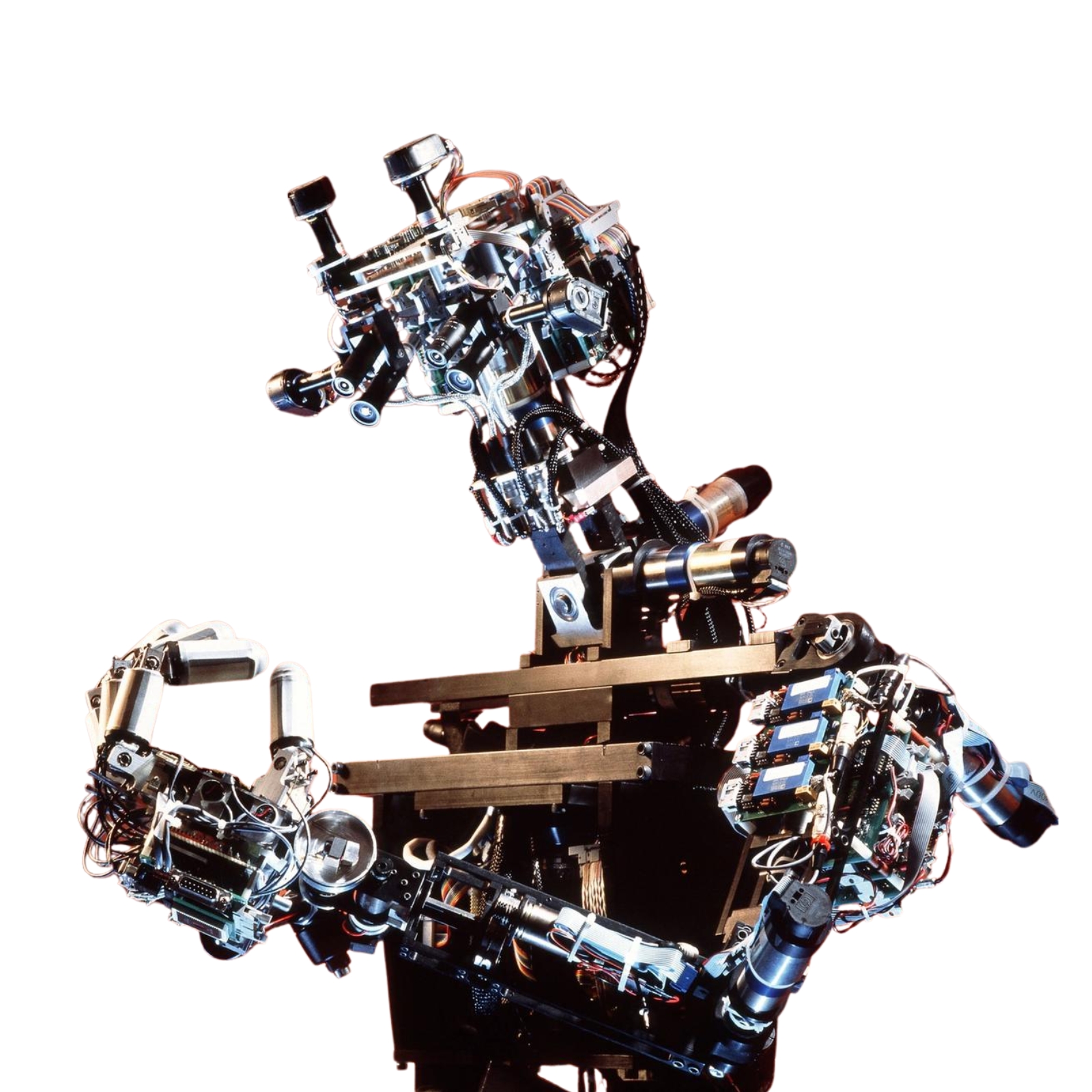 Cog robot