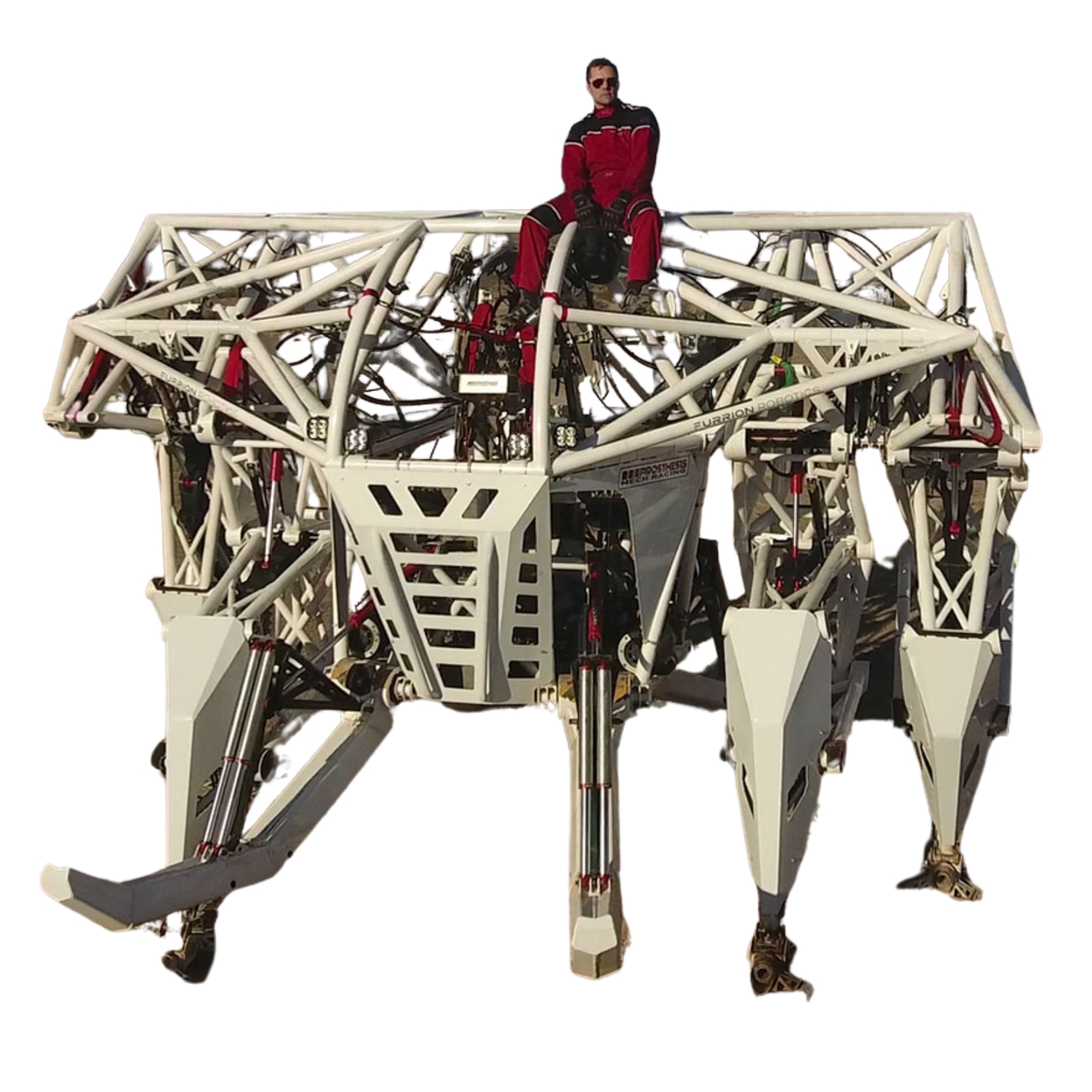 Prosthesis robot