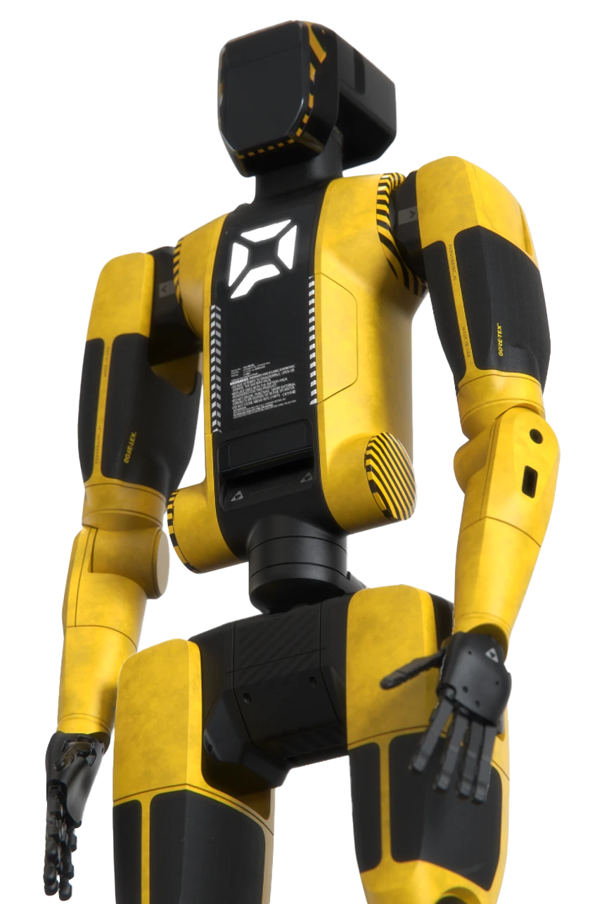 Persona Humanoid robot