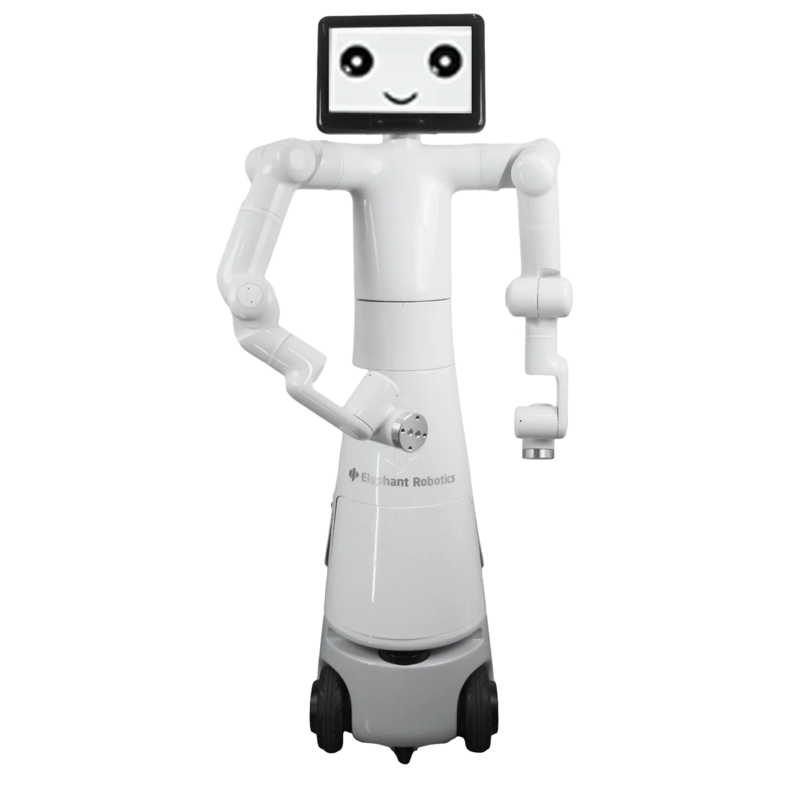 Mercury X1 robot