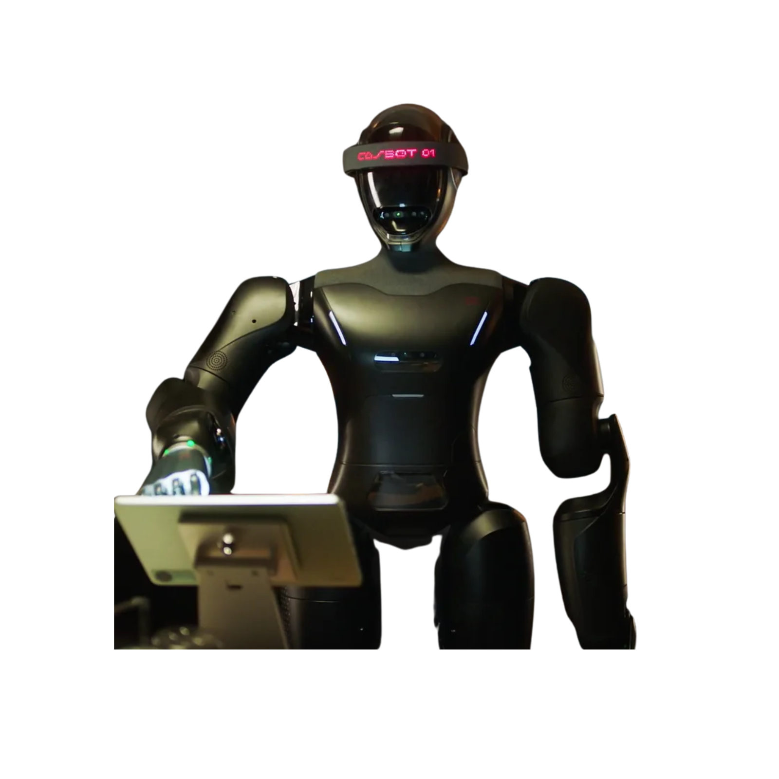 CASBOT 01 robot