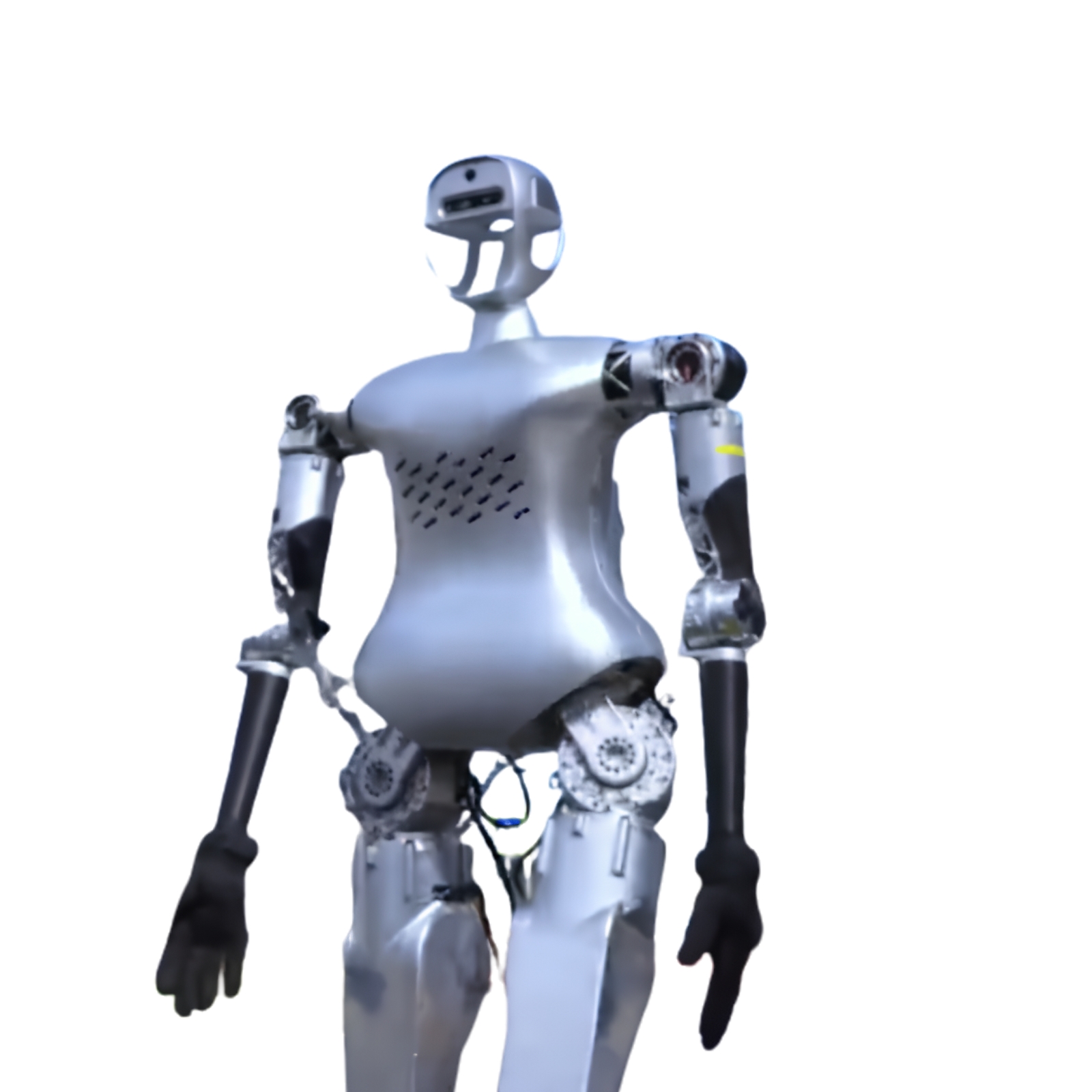 CASBOT SE robot