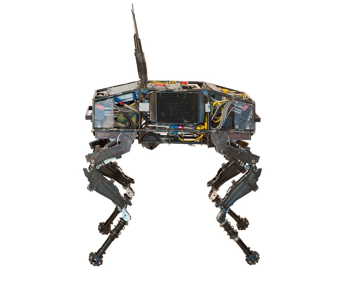 BigDog robot