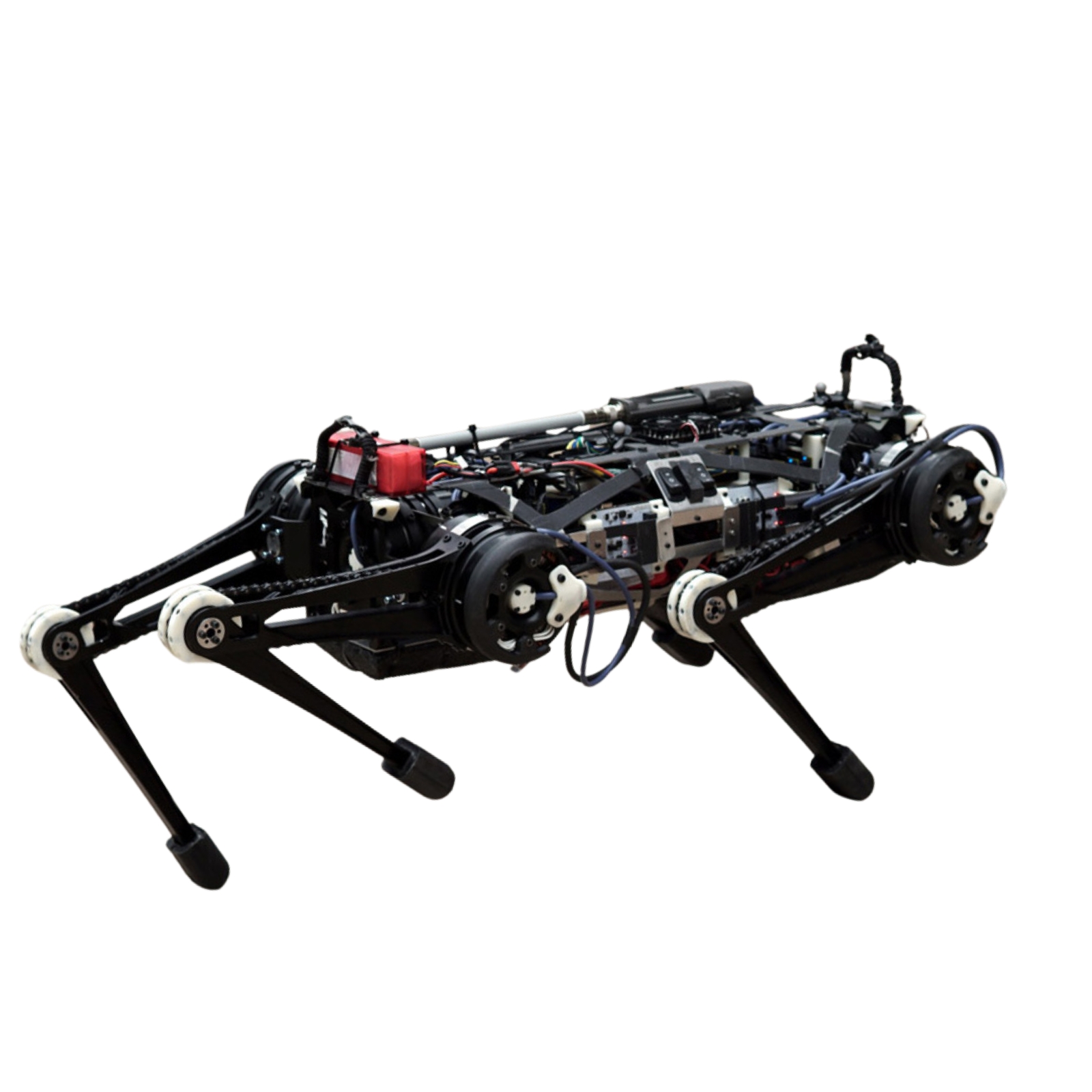 Cheetah 3 — image 1
