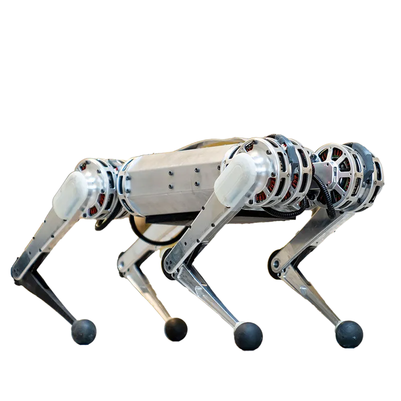 Mini Cheetah — image 1