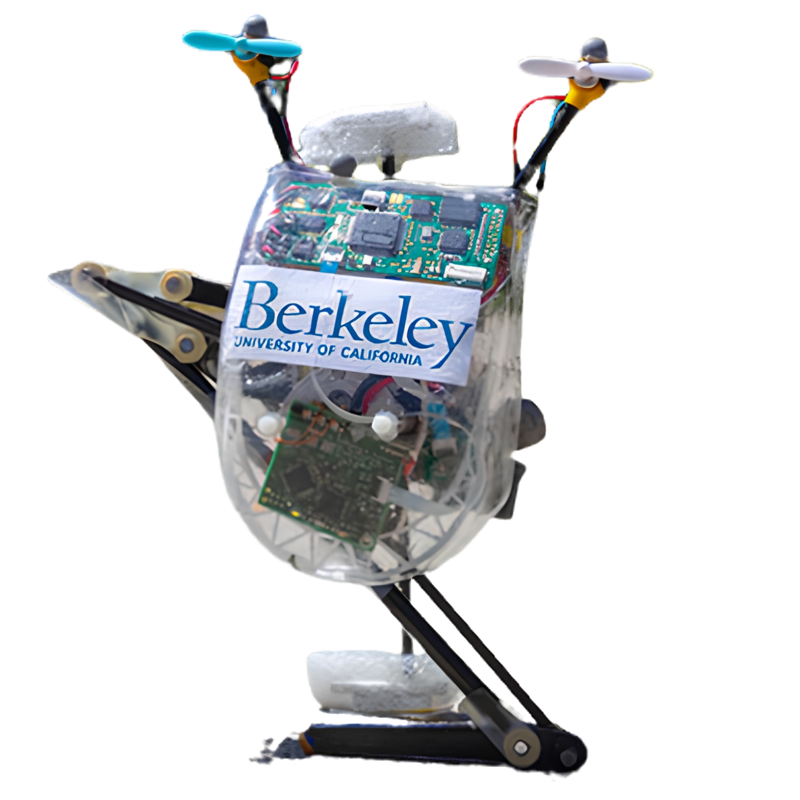 Salto robot