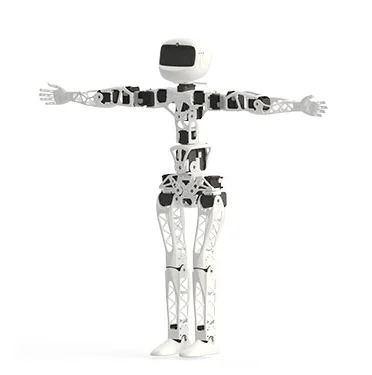 Poppy robot