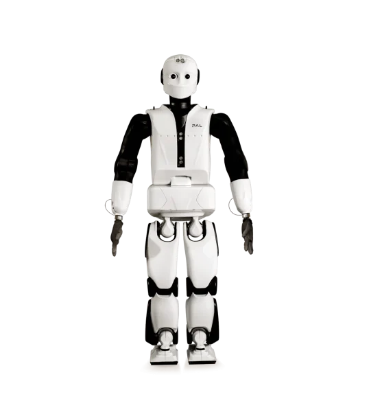 REEM-C robot