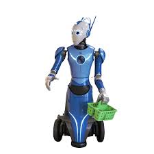 Beomni 1.0 robot