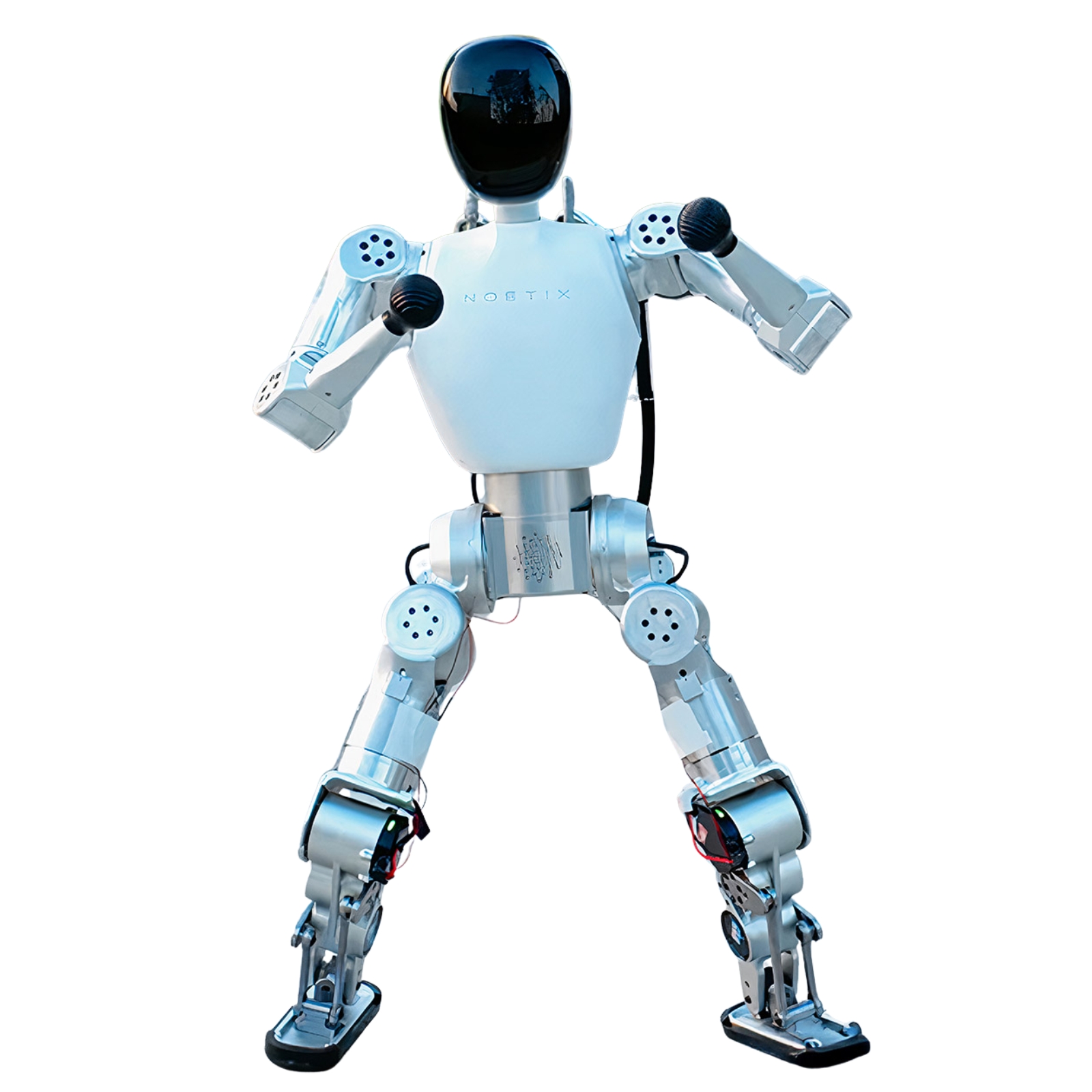 Bumi robot