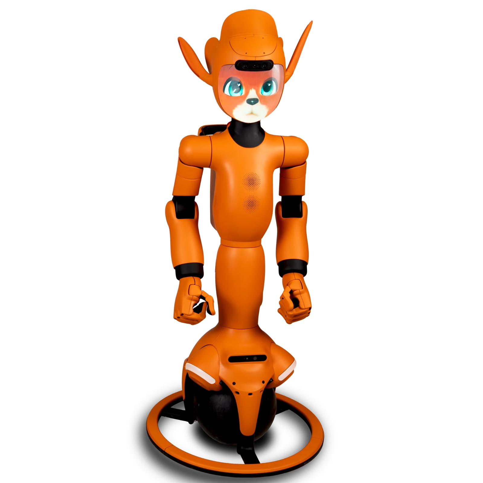 Mirokai robot