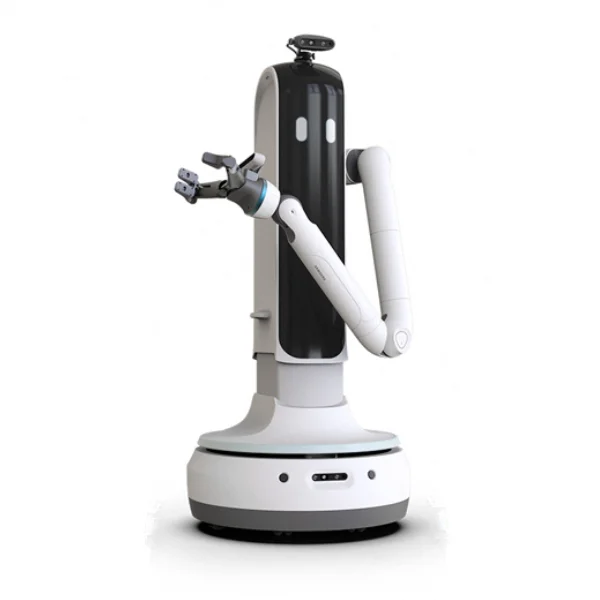 Bot Handy robot