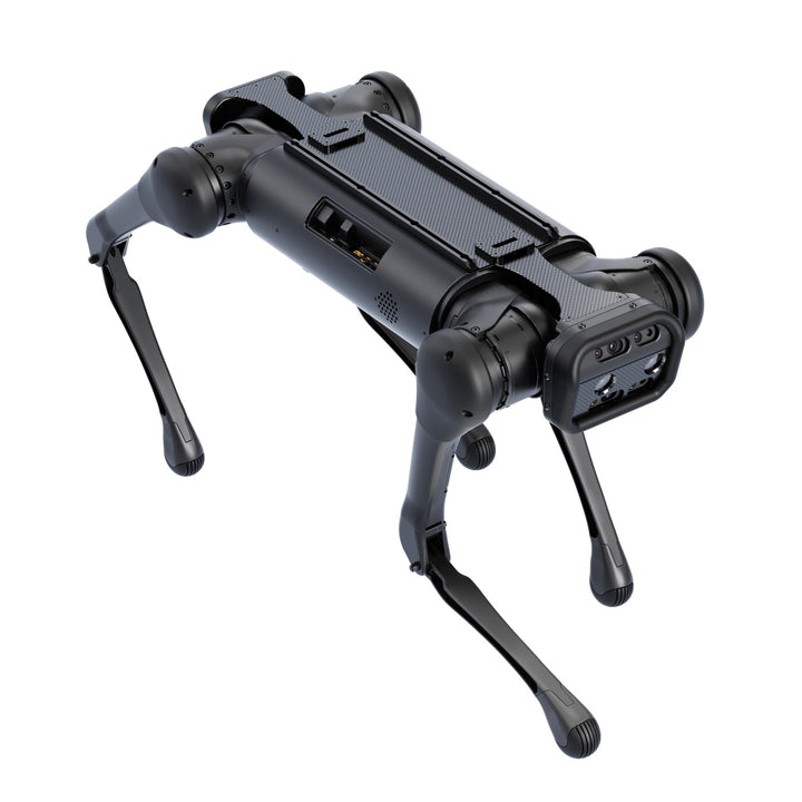 Aliengo robot