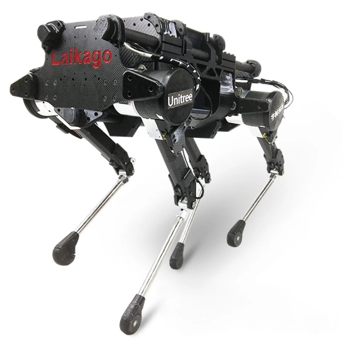 Laikago — image 1