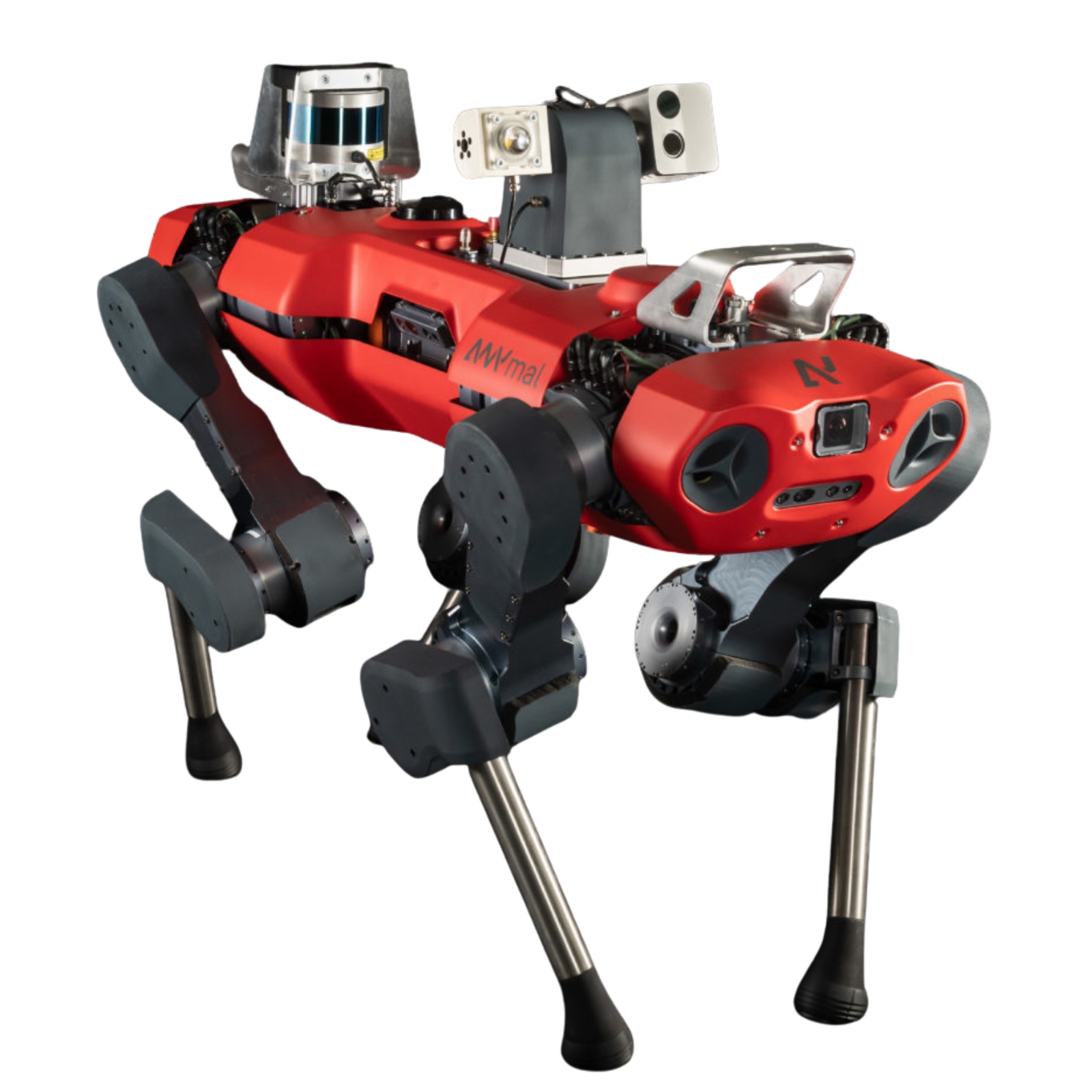 ANYmal C robot